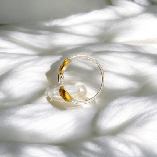 Top angle of matte silver ring with golden snail figure